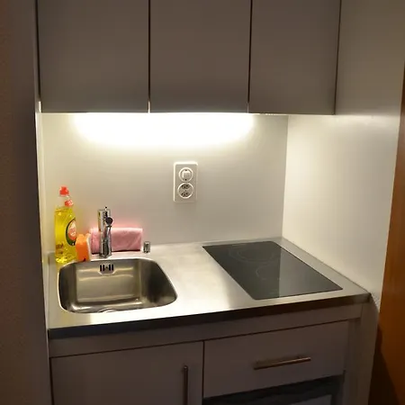Studio Therme Apartment Vals